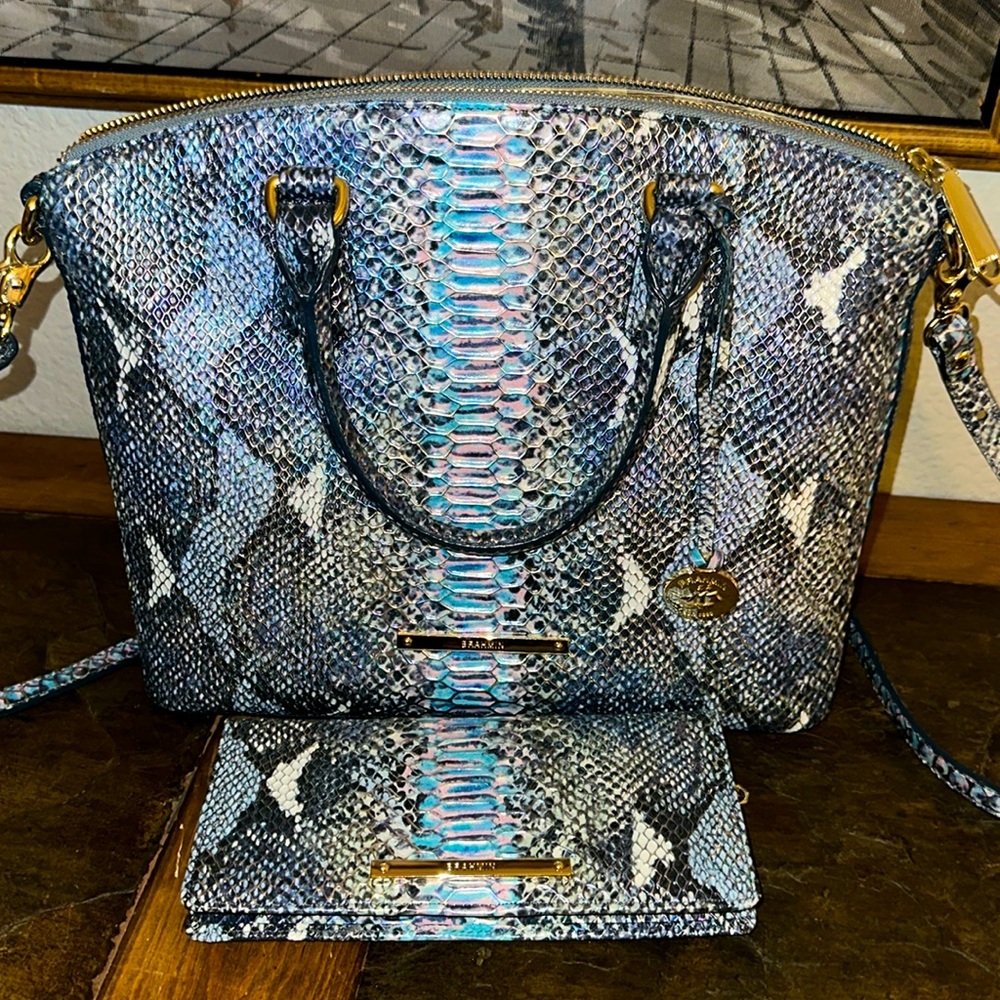 Brahmin - Christy
